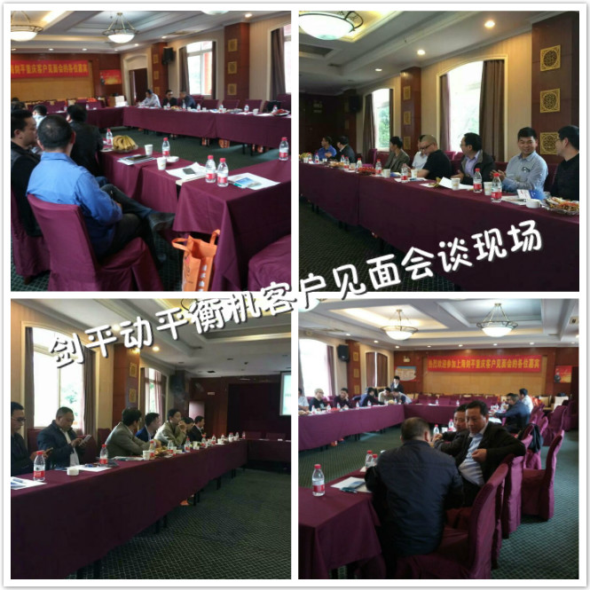 劍平動(dòng)平衡機(jī)會(huì)談現(xiàn)場(chǎng)